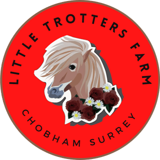 Little Trotters Pony Parties Logo