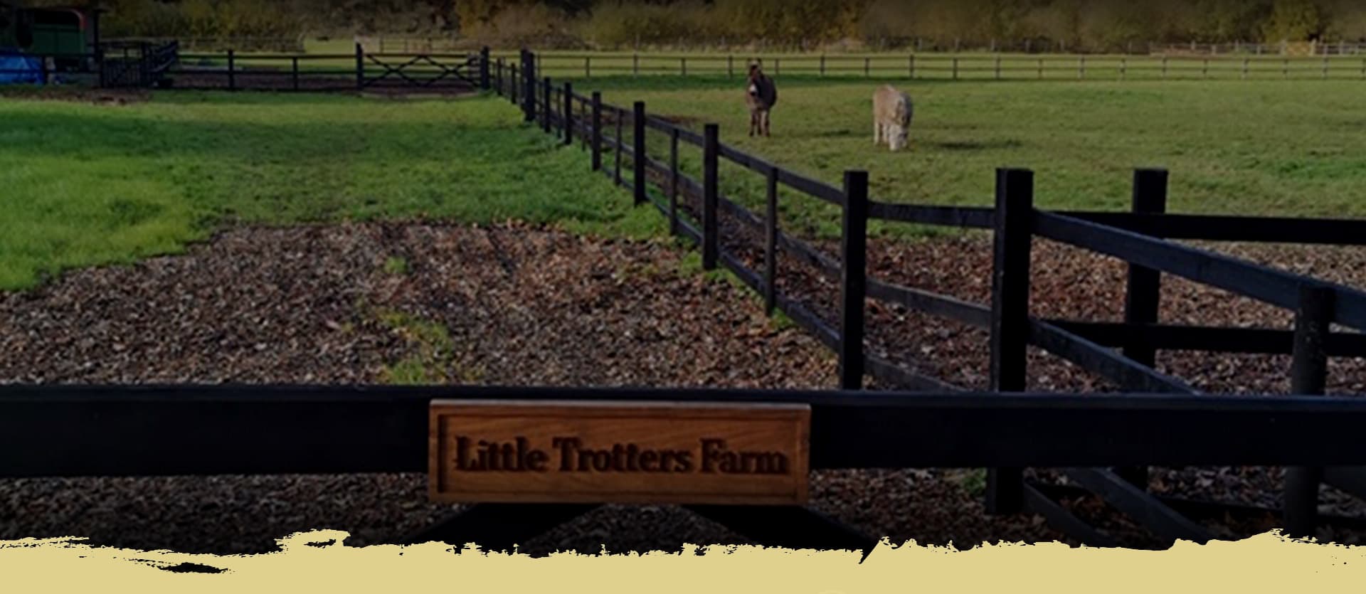 Little Trotters Farm โ ponies and children enjoying a party in the Surrey countryside